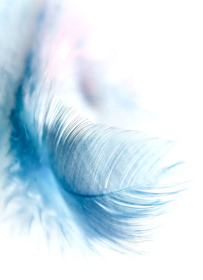 BIOTONUS - GESTION DU POIDS