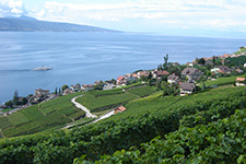 La colline de montreux 