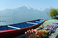 Photo - Montreux10Mini