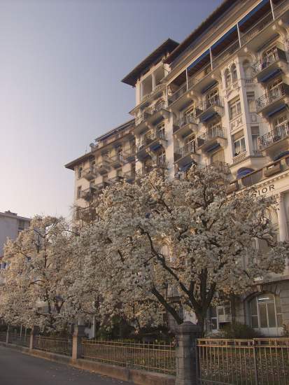 Grand Hôtel Excelsior